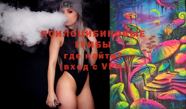шишки Алзамай