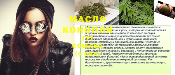 шишки Няндома