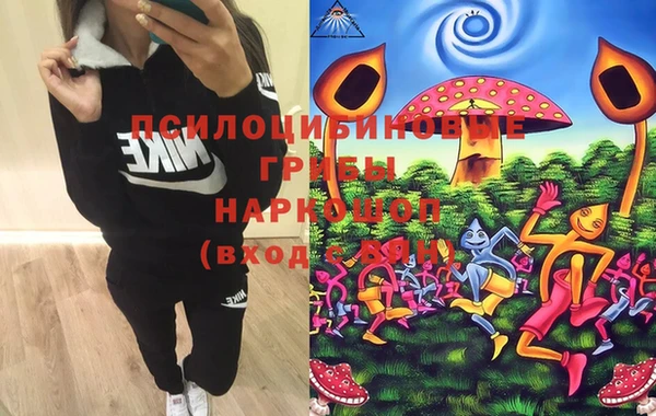 шишки Алзамай