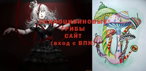 дурь Алексеевка