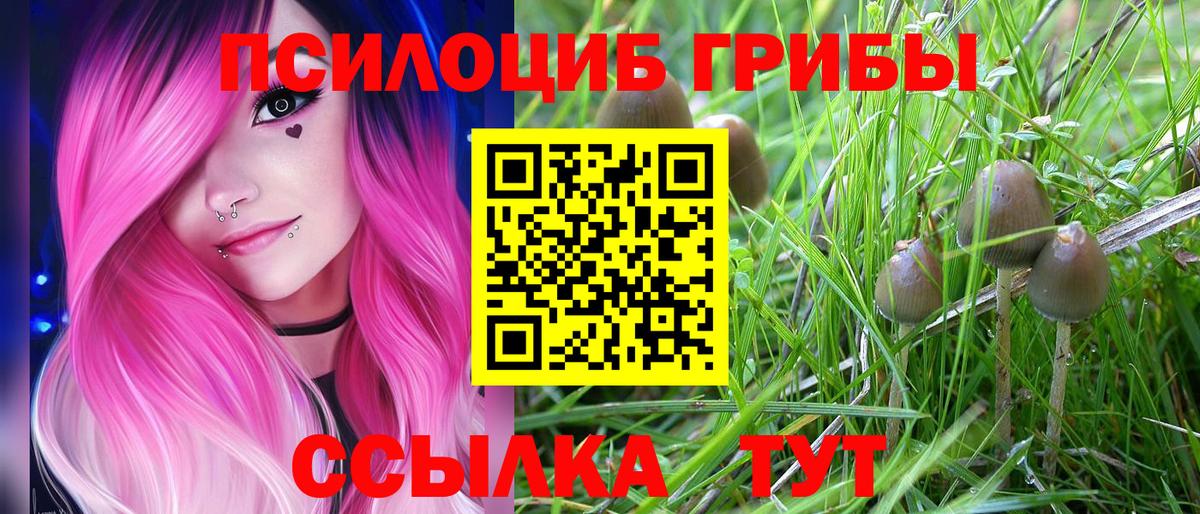 Псилоцибиновые грибы ЛСД  купить   Иркутск  Вход с VPN 