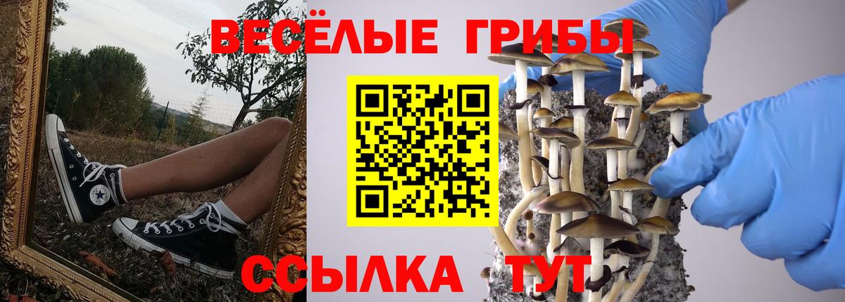 Псилоцибиновые грибы MAGIC MUSHROOMS Иркутск
